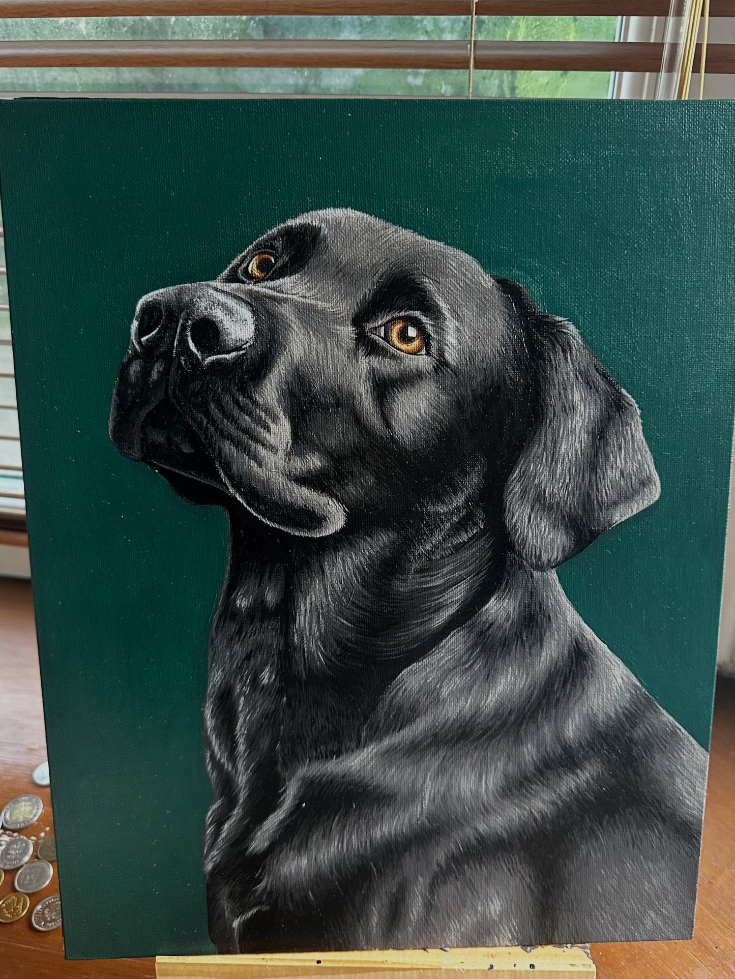 Acrylic Pet Painting